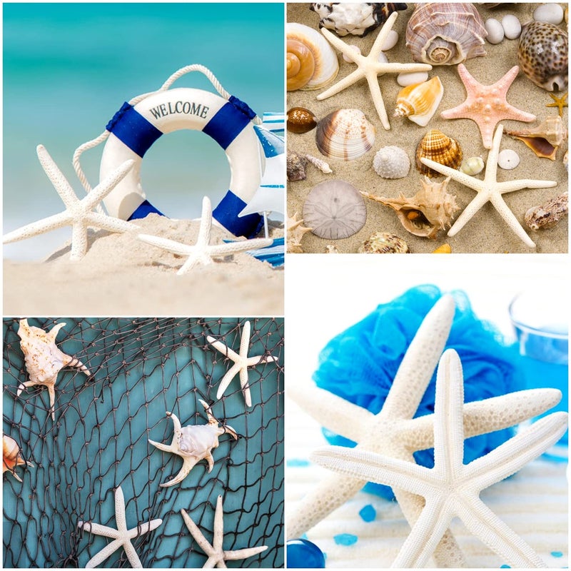 Jangostor 20 PCS Starfish, 2.5" to 4" Natural Seashells Starfish Star Fish Shells Decorations White Starfish Ornaments Perfect for Wedding Beach Theme Party Home Decorations, DIY Crafts, Fish Tank - Image 5